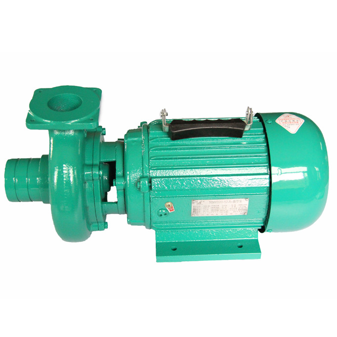 而嵌入式电机的输出轴贯穿电机缸套