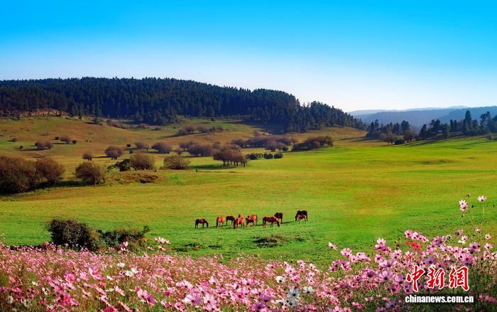 2025年第20届中国国际山地户外运动公开赛将在重