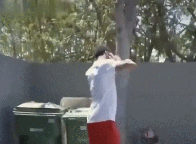 风城玫瑰罗斯1号球衣退役仪式定于2026年1月25日